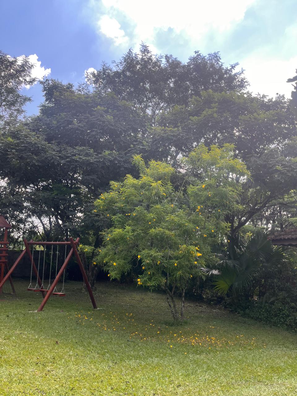 Área verde com playground